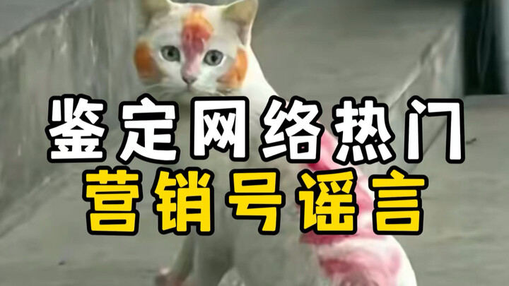 Debunking Viral Marketing Hoaxes Online: White Cat Dyeing, Lettuce Is Unsafe to Eat, and the “Cruel 