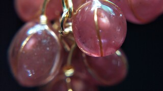 【Shrink Wrap】【Resin】Grapes