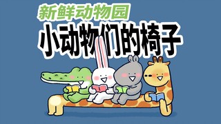 【新鲜动物园】今天给大家介绍一下小动物们自己的椅子。