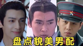 男配貌美如花，奈何女主眼瞎！盘点那些年抢走男主风头的男配们！