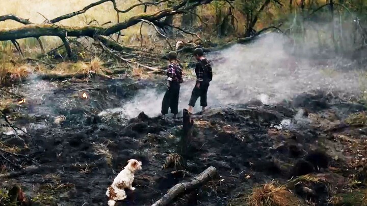A strange meteorite smashes a huge crater; two brothers, out of curiosity, take it home—only to wake