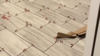 丈夫回到家发现车库被妻子铺上瓷砖，原因是很好看！