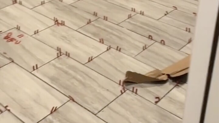 عندما عاد الزوج إلى المنزل، اكتشف أن زوجته قد فرشت المرآب بالبلاط، والسبب هو أنه جميل جدًا!