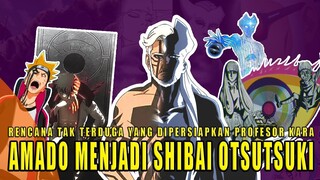 BENARKAH AMADO THE NEXT SHIBAI OTSUTSUKI.?! INILAH BUKTI PROFESOR KARA ADALAH VILLAIN SEBENARNYA