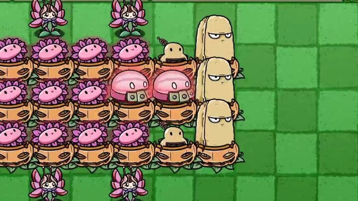 Full of cosmic watermelon~