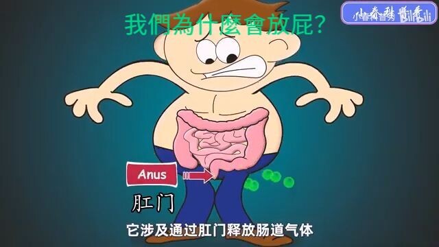 我們為什麼會放屁？ | Aumsum 兒童視頻