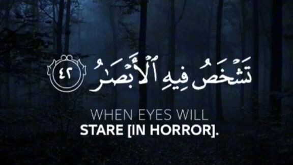 📖 Beautiful Quran Recitation | Listen and Feel the Peace 🤍