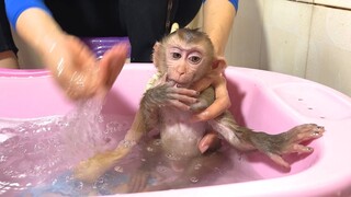 Mom shower for Monkey Coconut