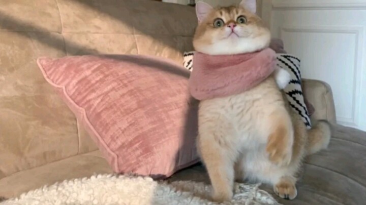 “What time is it? Be cute about it!”