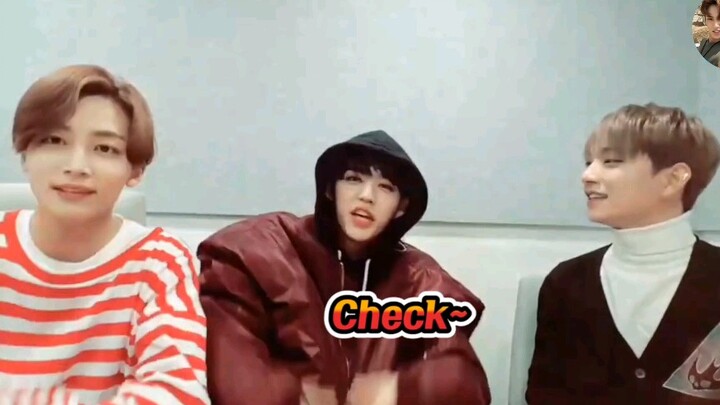 【SEVENTEEN】Seungcheol, yang berada di posisi paling bawah dalam rantai makanan ala 95 line (feat. Ho