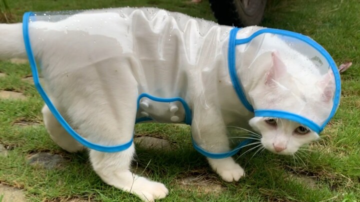 It took five hundred glances from my past life to make me this ultimate sucker in this one.