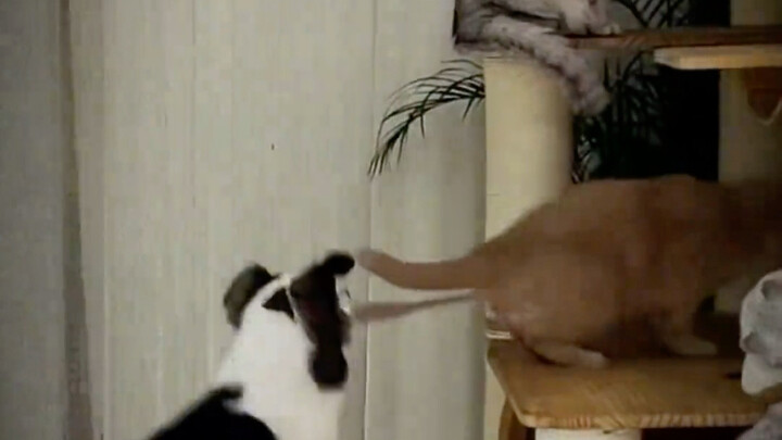 هل تعتقد أن هذا مثير للجدل أم لا؟