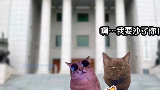 As soon as "Qian Sheng Xiao Bai" won the lawsuit and left the court gate, he was retaliated and beat