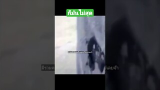 ^มีรวมคลิปเต็มชุดนี้กดดูลิงค์ด้านบนเลยจ้า^ ก็มันไม่สุดเลยหยุดไม่ได้