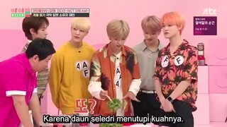 [INDO SUB] Idol Room Ep60 - NCT DREAM part 2