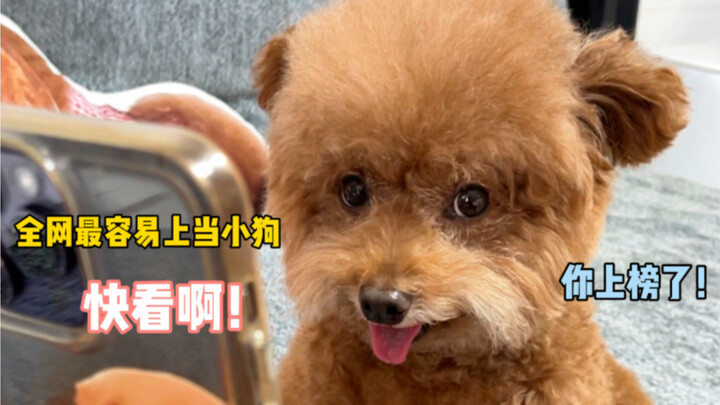 Saya umumkan: IQ Teddy adalah 0!