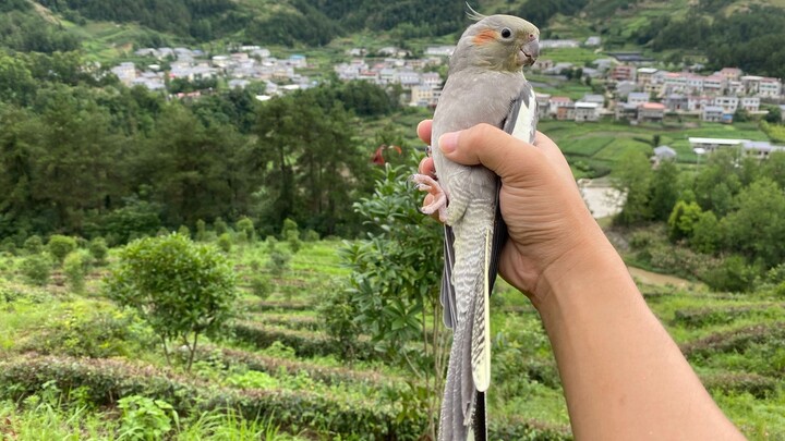 กว่าจะนัดเพื่อนออกไปเดินเล่นกับนกได้ คุณกลับบินเข้าหาเพื่อนตลอดเลย ฉันไม่เหลือหน้าตาอะไรแล้วใช่ไหม?