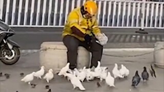 [Động vật] Bạn sẽ phải bật cười với những con vật ngộ nghĩnh này