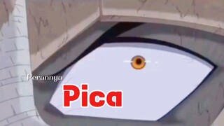 Peran Pica