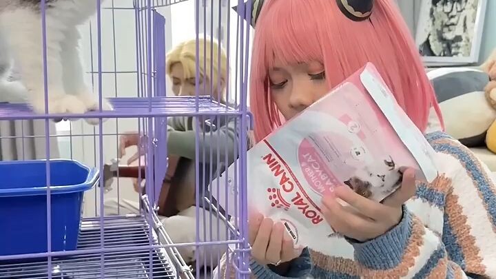 COSPLAY ANIME|| main Sama kucing