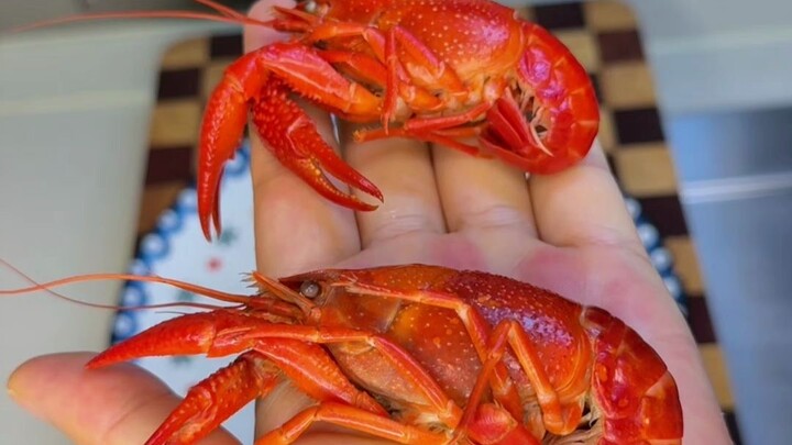 Ketahui trik ini agar tak tertipu saat makan di luar #TipsSehari-hari# Cermati sekilas untuk membeda