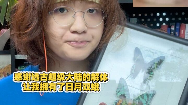 Even if they never meet, the larvae of the Moon Moth and the Sun Moth still share the same diet.