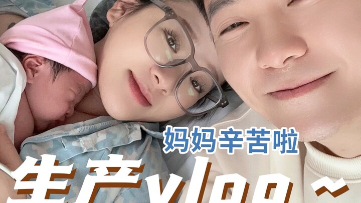 วิดีโอ vlog การผลิต