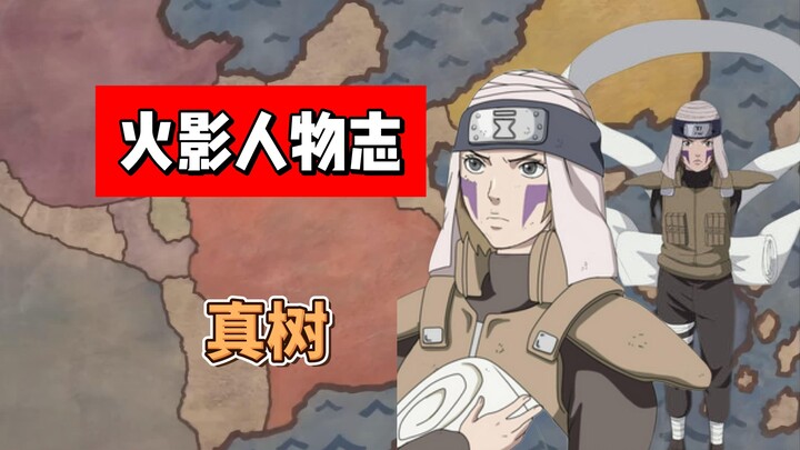 【火影志 · 砂隐书 · 真树传】“我准备好了，随时可以上！”