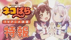 Ep12 - Nekopara (TV)