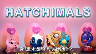 【机器鸡】s10e4 魔法蛋