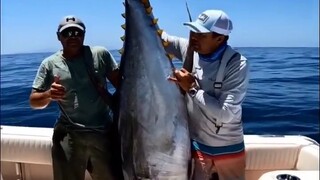 Big fish catching video 2023