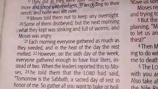 Daily Verse.                  Exodus 16:21-23