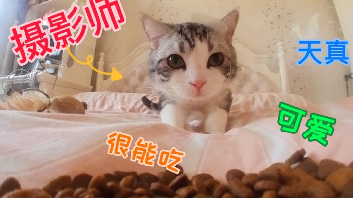 Put a camera on the cat—so this is what a cat’s day looks like!
