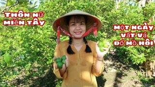 #75: THÔN NỮ MIỀN TÂY đi vườn hái chanh với anh chị Tư | Một ngày vất vả | Được mùa nhưng mất giá