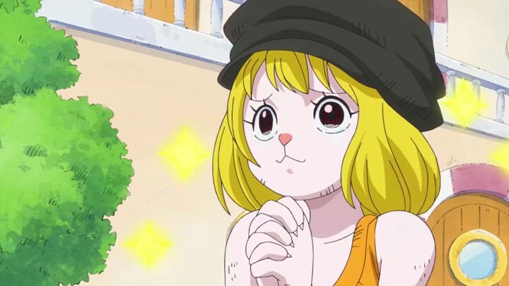 [ One Piece ] Rabbit Garrett