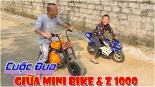 Cuộc Đua Thần Thánh Giữa Mini Bike & Z1000 - Test Xe Mới Cùng Mao Đệ Đệ