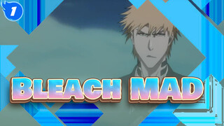 [Bleach/MAD] Kamu Kalah, Bukan Karena Harga Angkuh, Tapi Karena Kelemahanmu_1