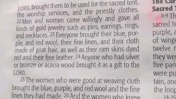 Daily Verse         Exodus 35:20-29