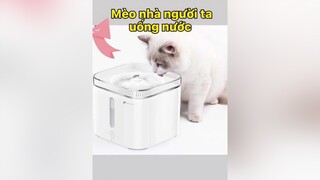 Ủa?? Là saooo 🤬🤬 mèo fypシ petkit saigon xuhuongtiktok TestNhanPham TVSHOWHAY DoiMatTo SongKhoe247 ConGaiMienTay ForYourPride