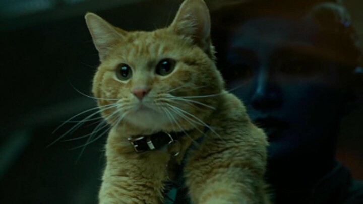 Devourer Beast: I’m cracking Infinity Stones like sunflower seeds, and you actually dared to kiss me