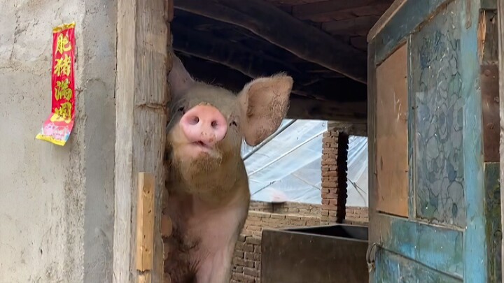 Only recommended for lovely people!