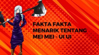 Fakta Fakta Menarik Tentang Mei Mei & UI UI