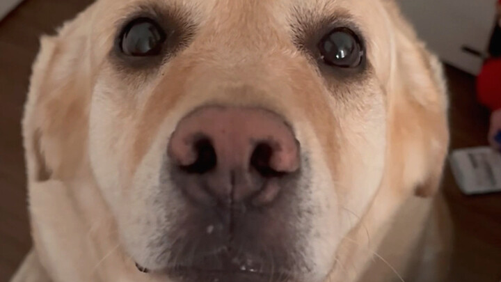 هل يوجد حقًا أم لا！！！！