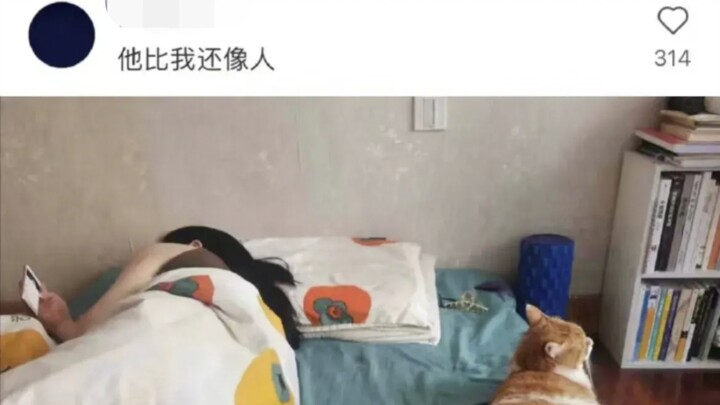 As expected, you can’t get two different kinds of people out of the same bed! It seems that no matte