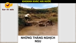 Cười bể bụng khoảng khắc hài hước p7