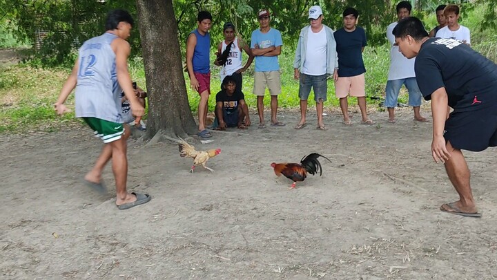 STREET FIGHT SERYE BANTEX 2TIMES WINNER IN  1 DAY 2ND FIGHT WIN DEC. 31, 2025!!!