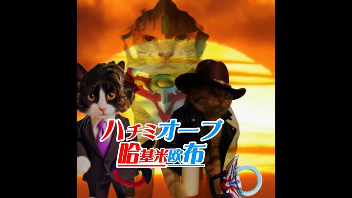 哈基米欧布(ハチミオーブ)