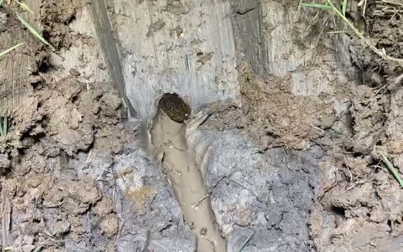 Punya satu lagi hari ini
