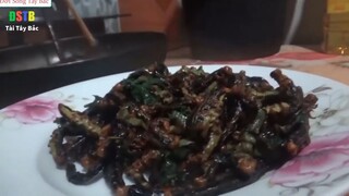 Ăn Sâu Rừng - Hóa Ra Đây Lại Là Món Ăn Tuyệt Ngon Của Người Thái Tây Bắc