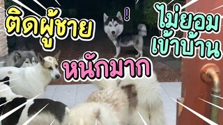 พากย์อีสานบ้านข้าวนึ่ง Ep.1 - ติดผู้ชายหนักมาก จนไม่ยอมเข้าบ้าน  - ข้าวนึ่ง & เดอะแก๊ง